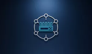 RMS Teltonika Remote Management Service 10 år