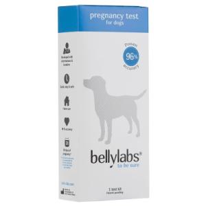 Bellylabs dräktighetstest till hund. Enkelt hemmatest