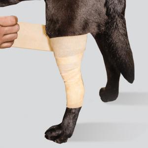 Scandi Orthopedic Kylbandage CCT