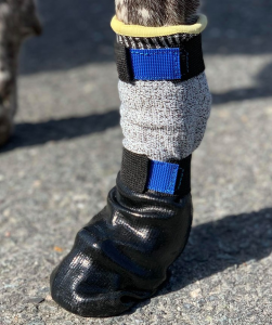 Dragråttan Hundsocka barmark V.I.P. Gummerad Lång