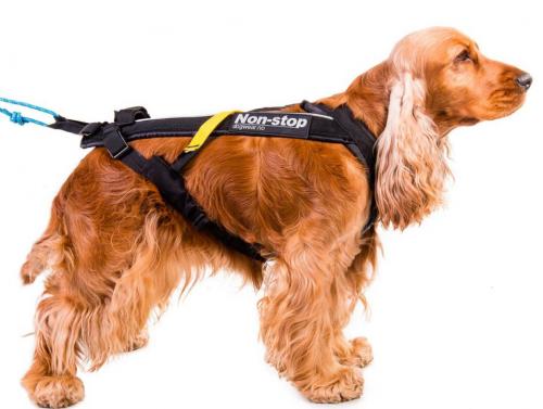 Non-stop Dogwear Freemotion Harness