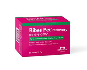 Ribes Pet Recovery är ett kosttillskott rikt på svartvinbärsfröolja och vitamin E för att stödja hudbarriärens normala funktion. Passar hundar och katter i alla åldrar.