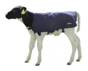 Kalvfilt EasyWear 70cm