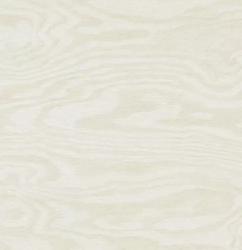 Willow White