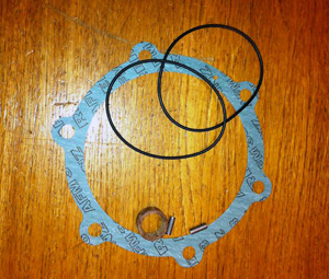 Repsats Vattenpump Ad21