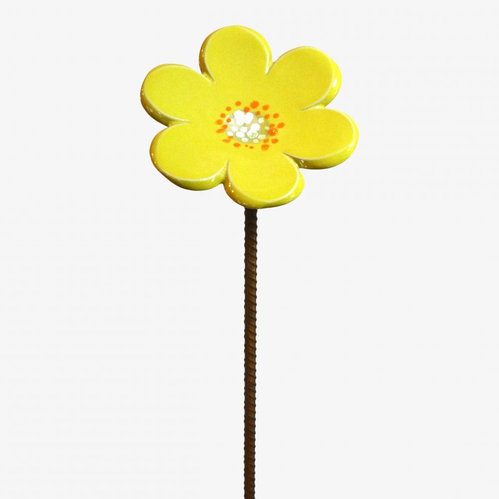 Gulsippa m.armeringspinne