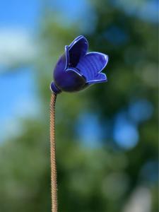 Blåklocka m.armeringspinne