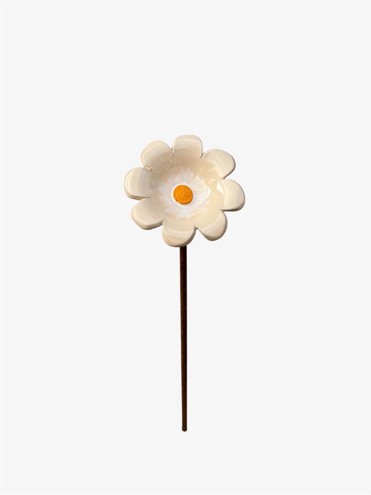 Dahlia ljusorange m.armeringspinne