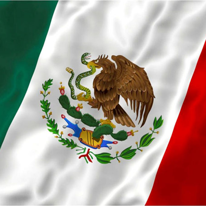 Mexikansk flagga, 35x25 cm