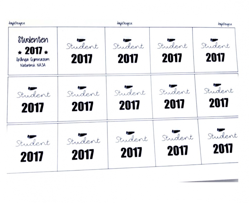 Budskap/text "student 2020" för 25mm, med mössa, 5st rutor