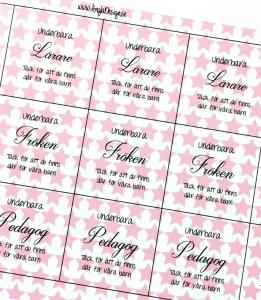 Budskap/texter för 25mm "..lärare, fröken, pedagog" med rosa stjärnor, 1ark