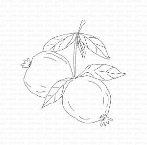 Gummiapa-Pomegranate på gren