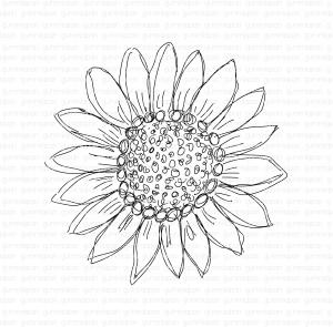 Gummiapan-Dubbel solros