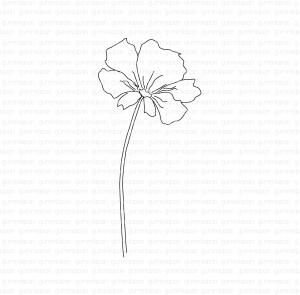 Gummiapan-Rosenskära