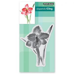 Penny Black Amaryllis