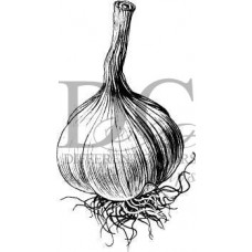 Garlic Herb