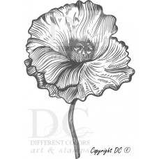 Poppy Flower