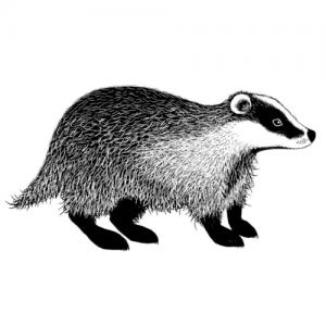 Lavinia Badger