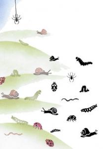 Majestix Bugs and Snails