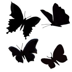 Lavinia Butterflies