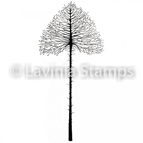 Lavinia Celestial Tree
