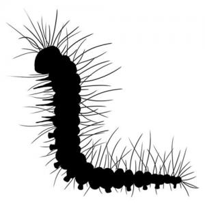 Lavinia Mini Christopher