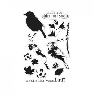 Hero Arts Color Layering Bird & Branch