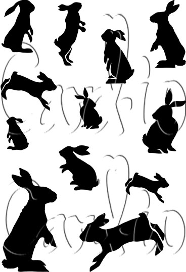 Collection Cottontail Capers