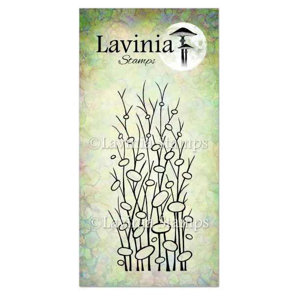 Lavinia Zen Grass