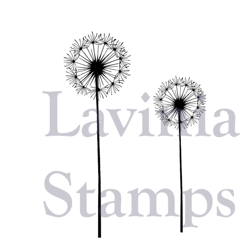 Lavinia Fairy Dandelions