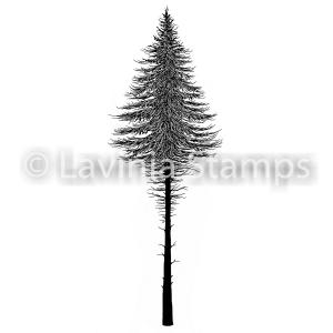 Lavinia Fairy Fir Tree 2