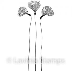 Lavinia Fairy Orchid Set