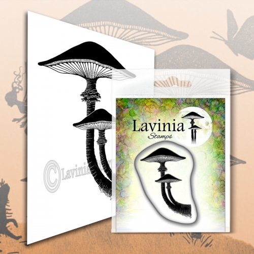 Lavinia Forest Mushroom