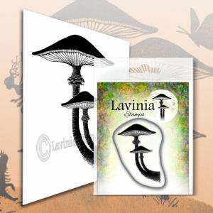 Lavinia Forest Mushroom