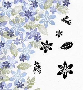 Majestix Freesia and Violet