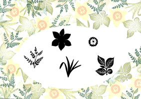 Majestix Golden Daffodils