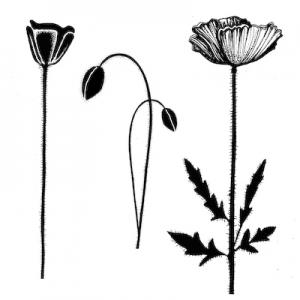 Lavinia Group Poppies Stamp