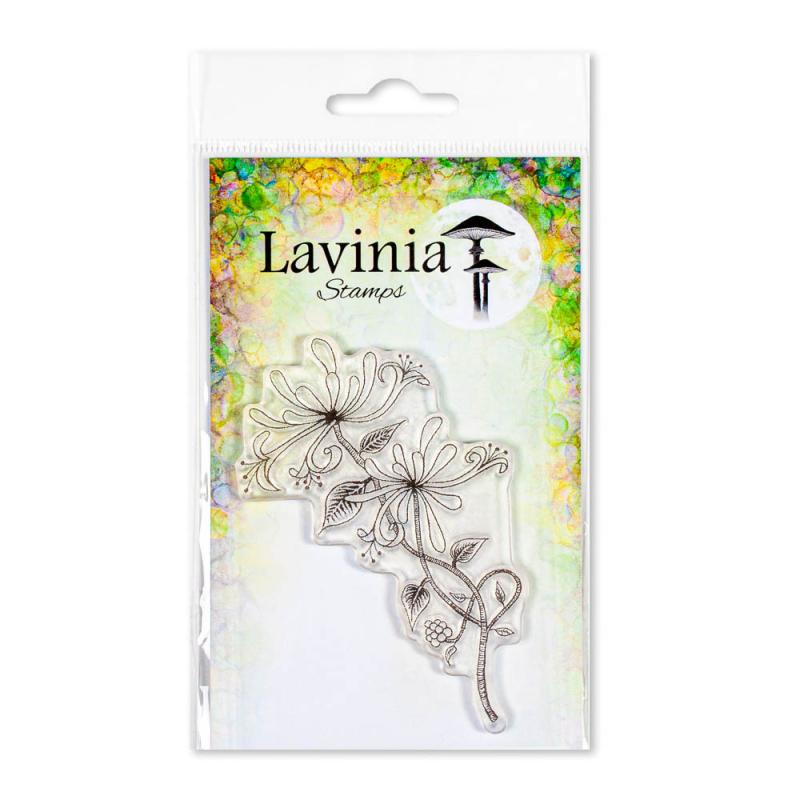 Lavinia Honeysuckle