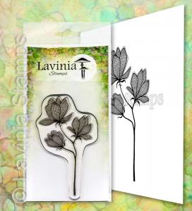 Lavinia Lilium