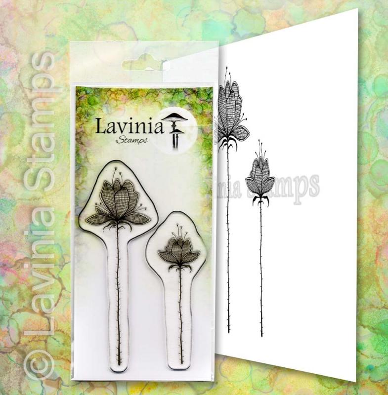 Lavinia Lilium Set