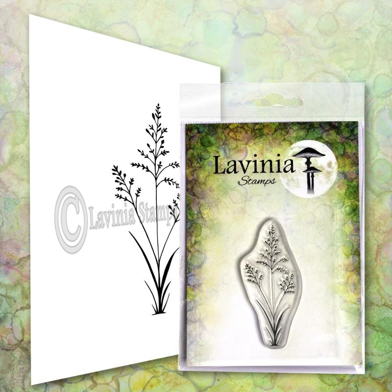 Lavinia Orchard Grass
