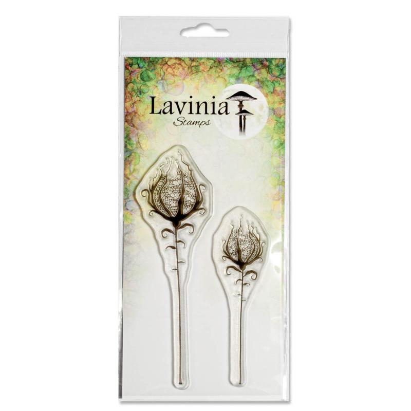 Lavinia Forest Flower