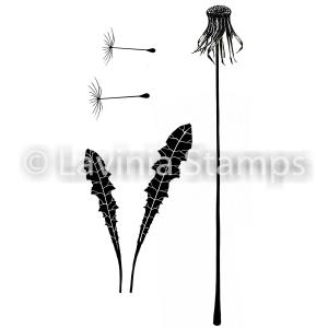 Lavinia Make a Dandelion