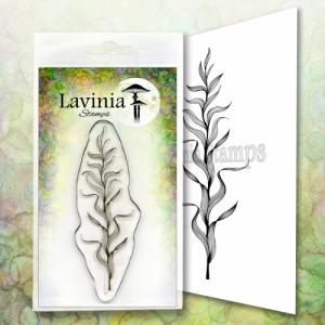 Lavinia Marine Kelp