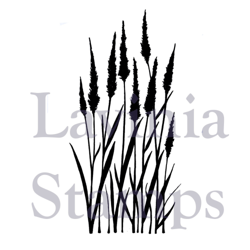 Lavinia Meadow grass