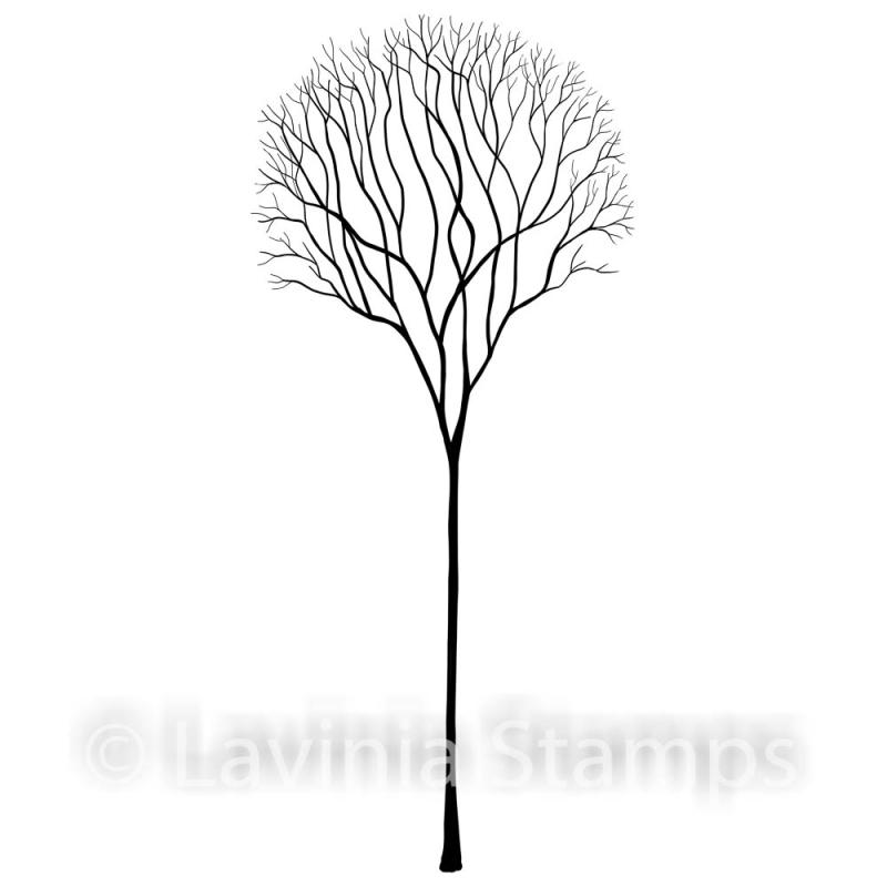 Lavinia Skeleton Tree