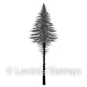 Lavinia Fairy Fir Tree 2 Small