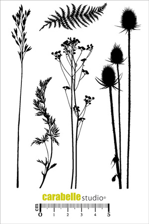 Art Stamp-Dans la nature, il y a...