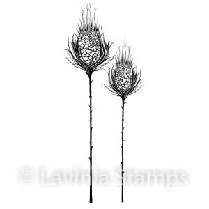 Lavinia Star Burst Set