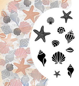 Majestix Starfish and Shells